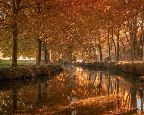 Mujer mirando por la ventana de la oficina, haciendo una pausa